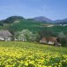 Turistična kmetija Ljubica, Poljane nad Škofjo Loko Turistična kmetija Ljubica, Poljane nad Škofjo Loko