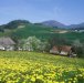 Turistična kmetija Ljubica, Poljane nad Škofjo Loko