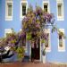 The Blue House, Tolmin